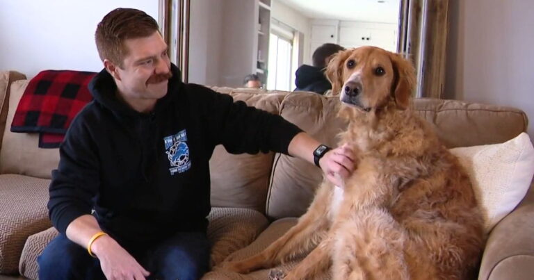 Firefighter Saves Life with Help from His Goldendoodle's Unconditional Love.jpg