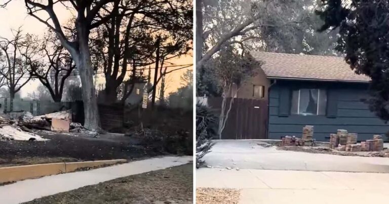 House Miraculously Survives Eaton Fire's Devastation in California.jpg