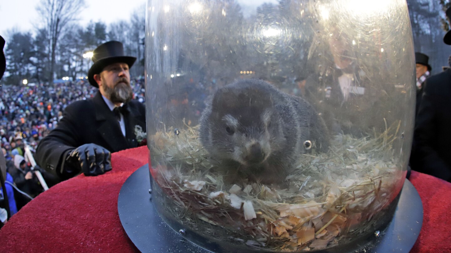 Punxsutawney Phil Predicts Six More Weeks of Winter at Groundhog Day