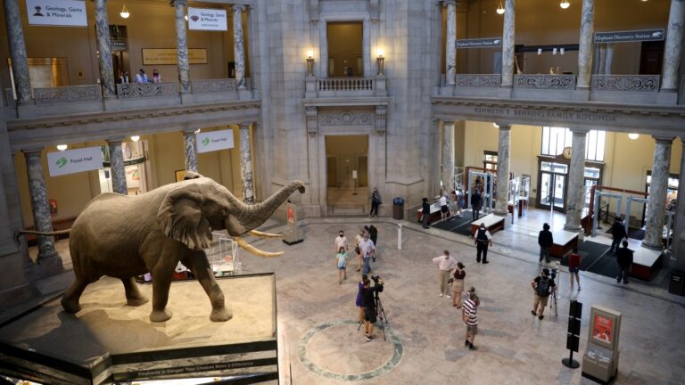 Smithsonian and other museums begin to reopen after shutdown : NPR