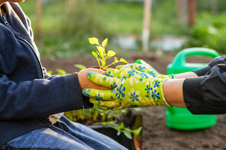 Cultivating the fruits of the Spirit: gentleness that reflects God’s strength