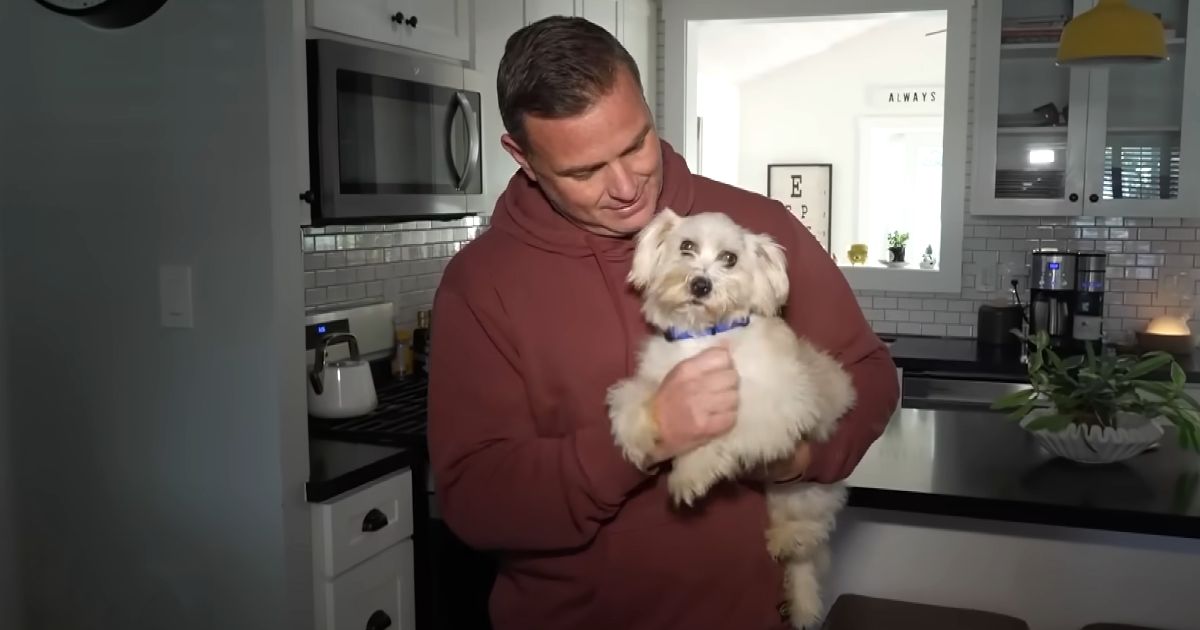 Police Rescue Abandoned Puppy from Trash Compactor, Finds Him Forever Home.jpg