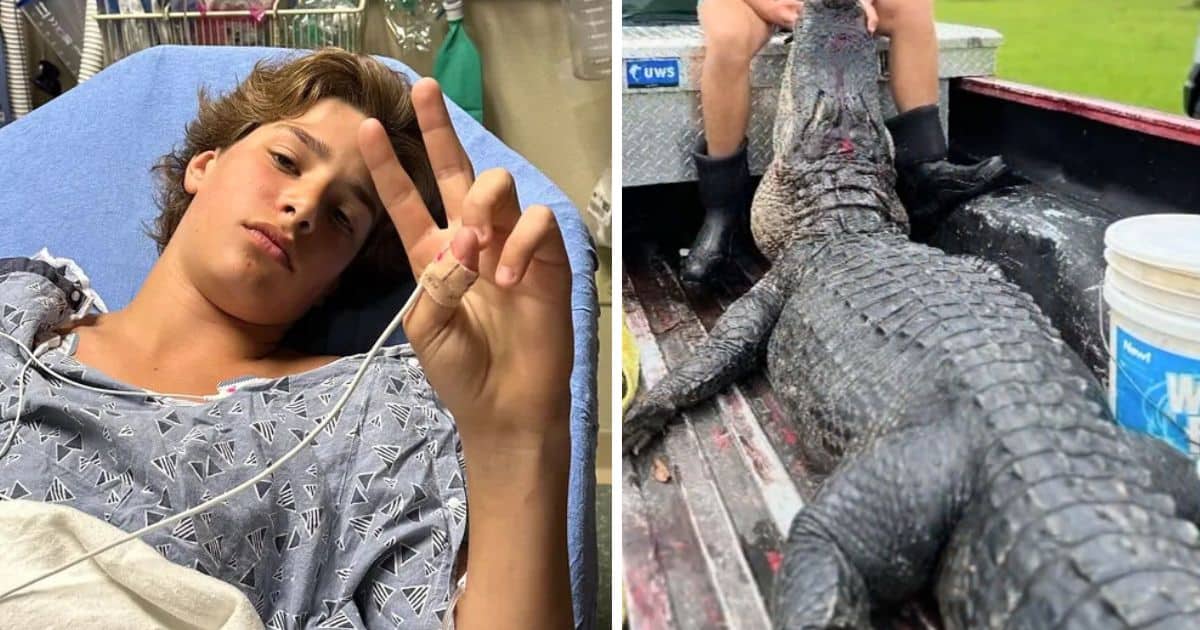 Teen Survives Alligator Attack Near Florida Creek with Courage and Faith.jpg