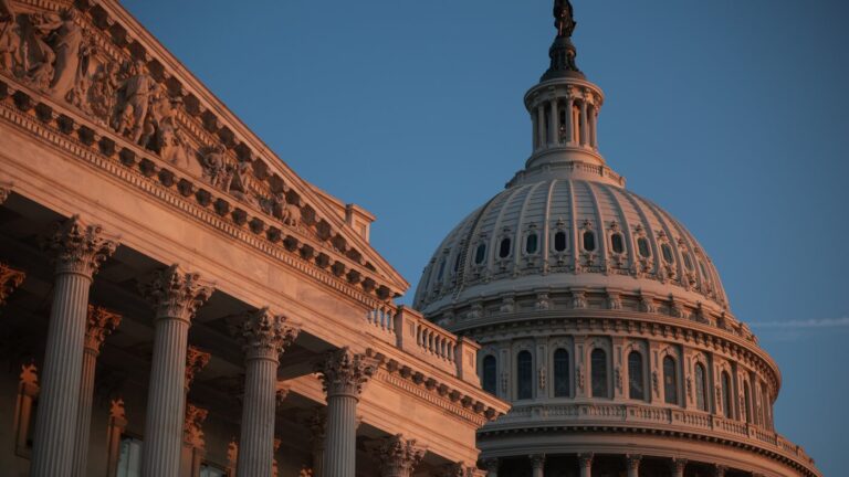 How America’s most partisan voters hold the most voting power : NPR