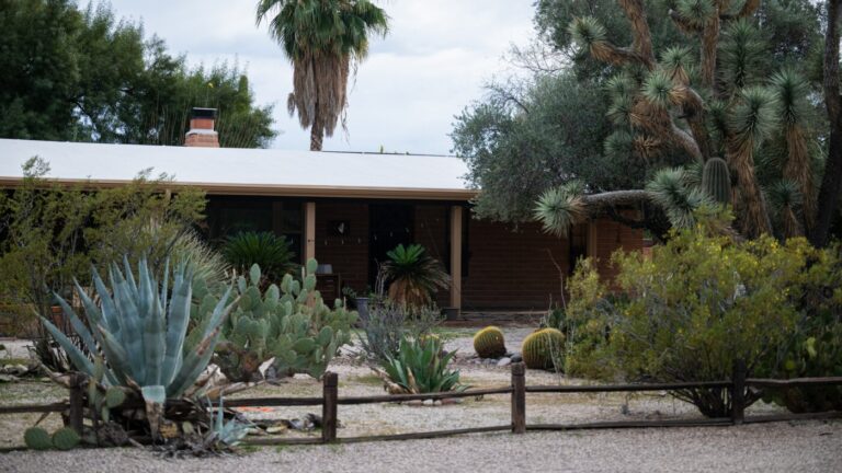 How the use of AI and 'deepfakes' play a role in the search for Nancy Guthrie : NPR