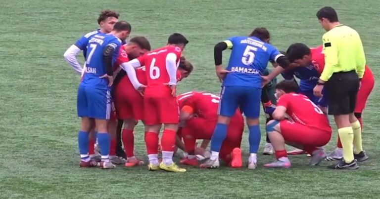 Seagull Collision Halts Playoff Match, Players Show Unseen Compassion.jpg