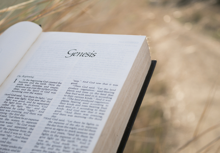 Bible sales grew in 2025, data shows