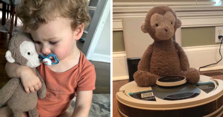 Community Unites to Help Boy Find Lost Stuffed Monkey at Airport.jpg