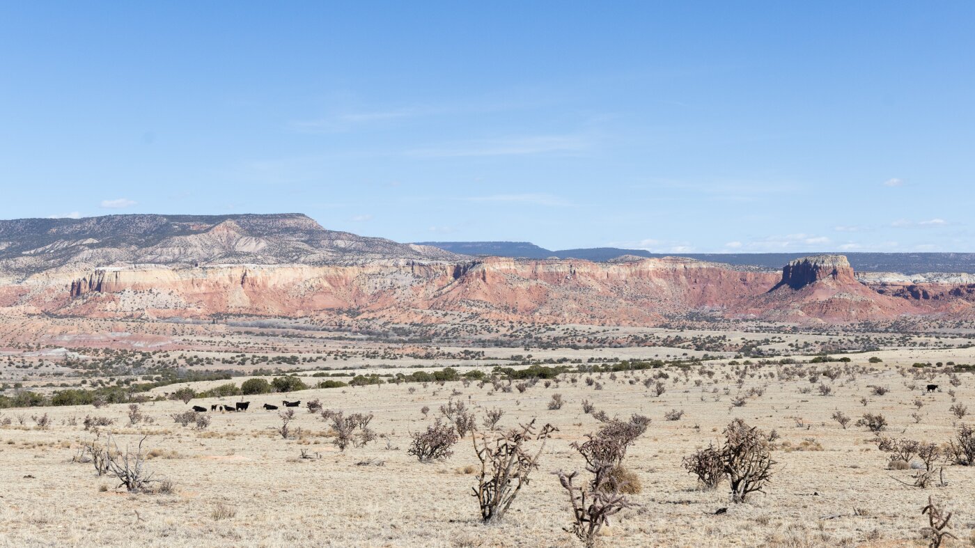 Georgia O’Keeffe legacy re-examined 40 years after her death : NPR
