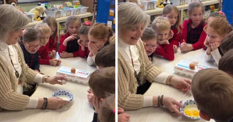 Simple Egg Lesson Teaches Kids About Equality and Inner Worth.jpg