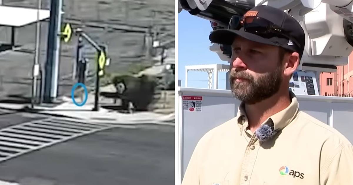Utility Worker Prevents Tragedy with Timely Rescue in Phoenix Intersection.jpg
