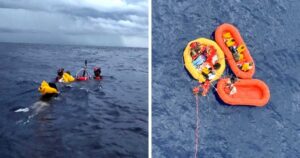 Charter Plane Makes Emergency Ocean Landing; All 11 Passengers Survive.jpg