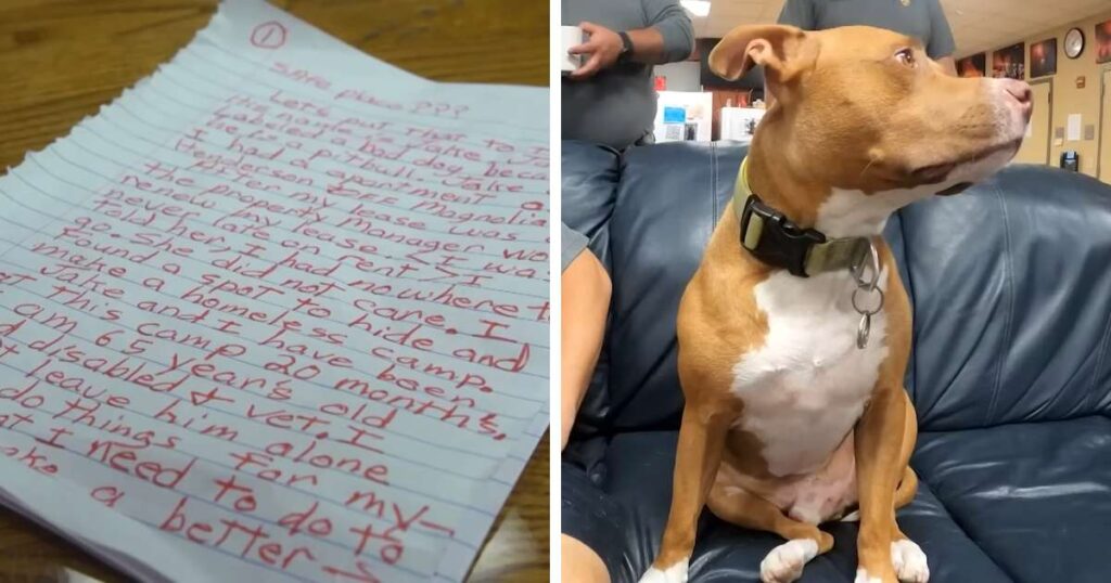 Firefighters Rescue Abandoned Pitbull, Reunite Veteran with Hope.jpg