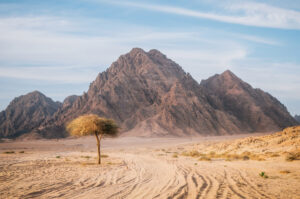 Insights into the Jewish Background of the Book of Numbers - New Social Gospel Why did the Lord speak to Moses in the desert?