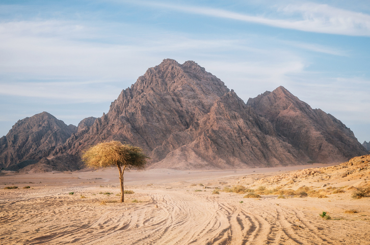 Why did the Lord speak to Moses in the desert?