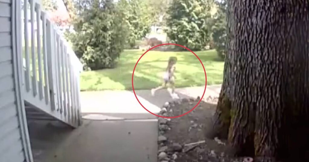 Preschooler Saves Grandma in Medical Emergency: A Brave Little Hero.jpg