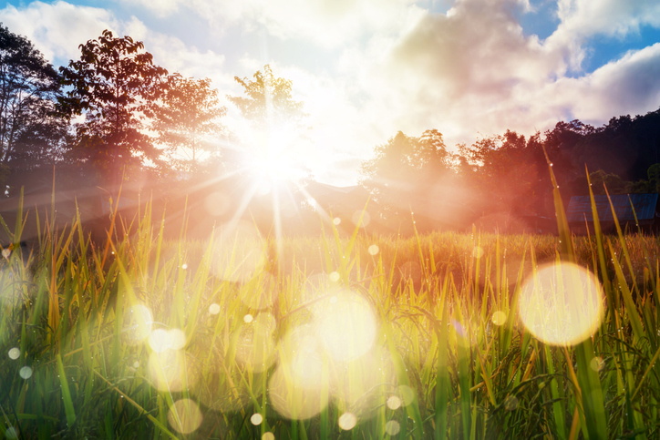 What are the fruits of the Holy Spirit?