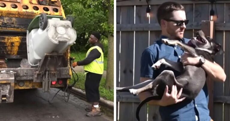 Milwaukee Sanitation Workers Rescue Puppy Discarded in Garbage Bin.jpg