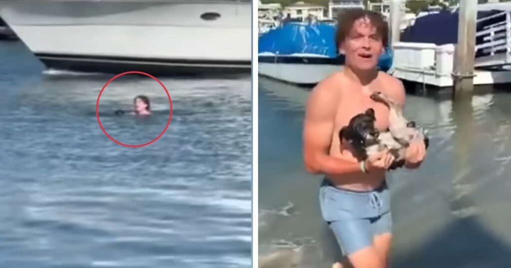 Teen's Brave Rescue Saves Dog from Drowning in Newport Beach.jpg