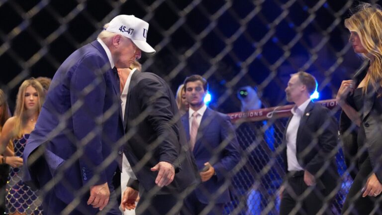 UFC boss Dana White says 'never again' to another White House fight night : NPR
