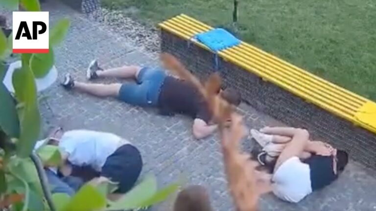People lying on the ground as a large brown dog advances near a yellow bench by a paved area.