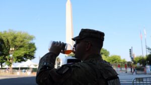 Extreme Heat Forces Cancellation of DC Independence Day Parade - New Social Gospel Washington's July 4 parade is off. The fireworks are still on : NPR