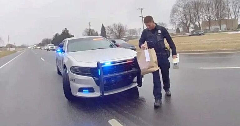 Police Officers Step In to Complete Pregnant Driver's Delivery in Detroit.jpeg