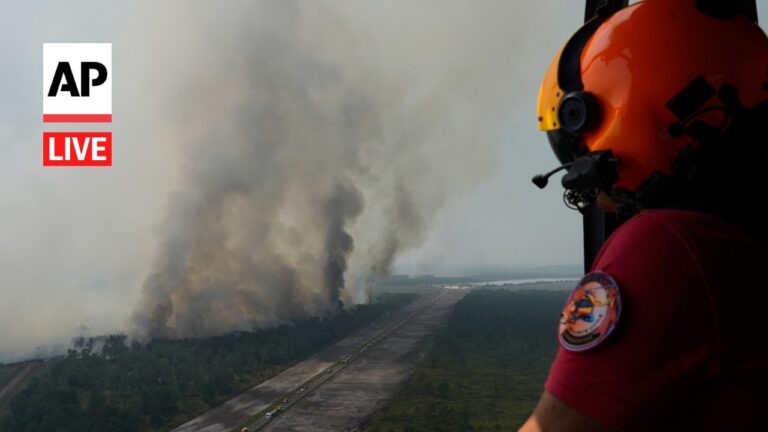 Firefighter in an orange helmet watches a wildfire plume rising over a forested area, AP Live logo visible on the left side.
