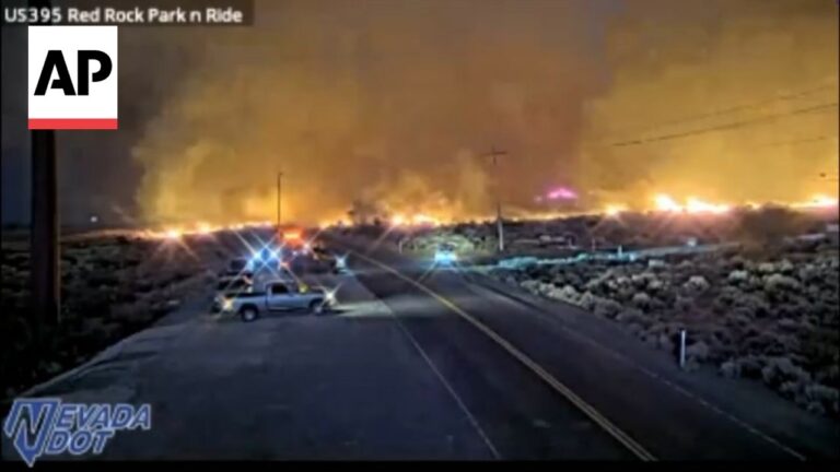 Highway view at dusk with a wildfire along the horizon, emergency lights flashing as flames burn across brush nearby.