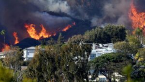 California enacts strict rules to limit fire-prone plants near homes - New Social Gospel California adopts strongest landscaping rules in U.S. for wildfire risk : NPR