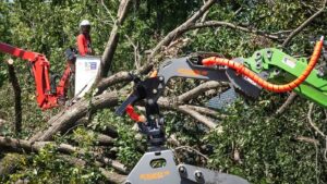 Indiana Storm Leaves Thousands Without Power Recovery Efforts Ongoing - New Social Gospel Thousands in northwest Indiana still without power nearly two weeks after storm : NPR