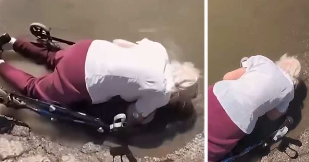 Ryan Carter's Kind Act: Rescuing Miss Minnie from a Flooded Pothole.jpg