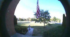 Young Boys Heartwarming Pledge of Allegiance Captured on Camerajpg - New Social Gospel Young Boy's Heartwarming Pledge of Allegiance Captured on Camera.jpg