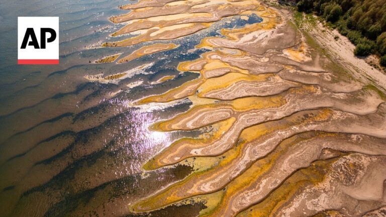 Aerial view of colorful mineral terraces along a shoreline, with water to the left and forest to the right; AP logo in the corner.