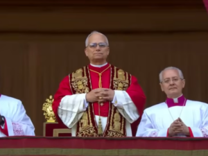 Pope Leo XIVs Writings Released Freedom Under Grace Explores Faith - New Social Gospel Book of writings by Pope Leo XIV published