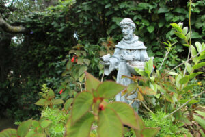 Celebrating 800 Years The Life and Legacy of St Francis - New Social Gospel 800 years on: Why St Francis of Assisi still captivates the world