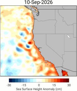 Kelvin Waves Unseen Force Behind Rising Sea Levels and Flood - New Social Gospel El Niño driven Kelvin Wave hits West Coast : NPR