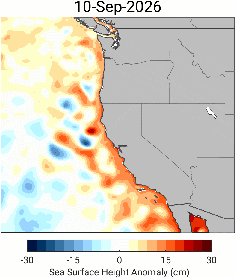 El Niño driven Kelvin Wave hits West Coast : NPR
