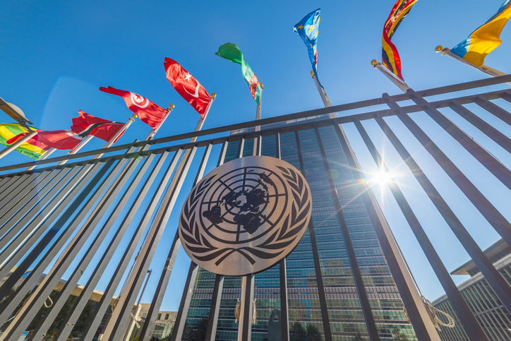 UN Special Rapporteur calls for end to 'coerced' abortion