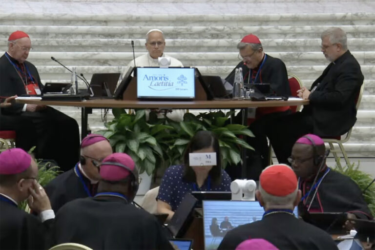 Panel of Catholic clergy seated at a long table on a stage, with a speaker in white robes at center and others wearing red zucchettos.