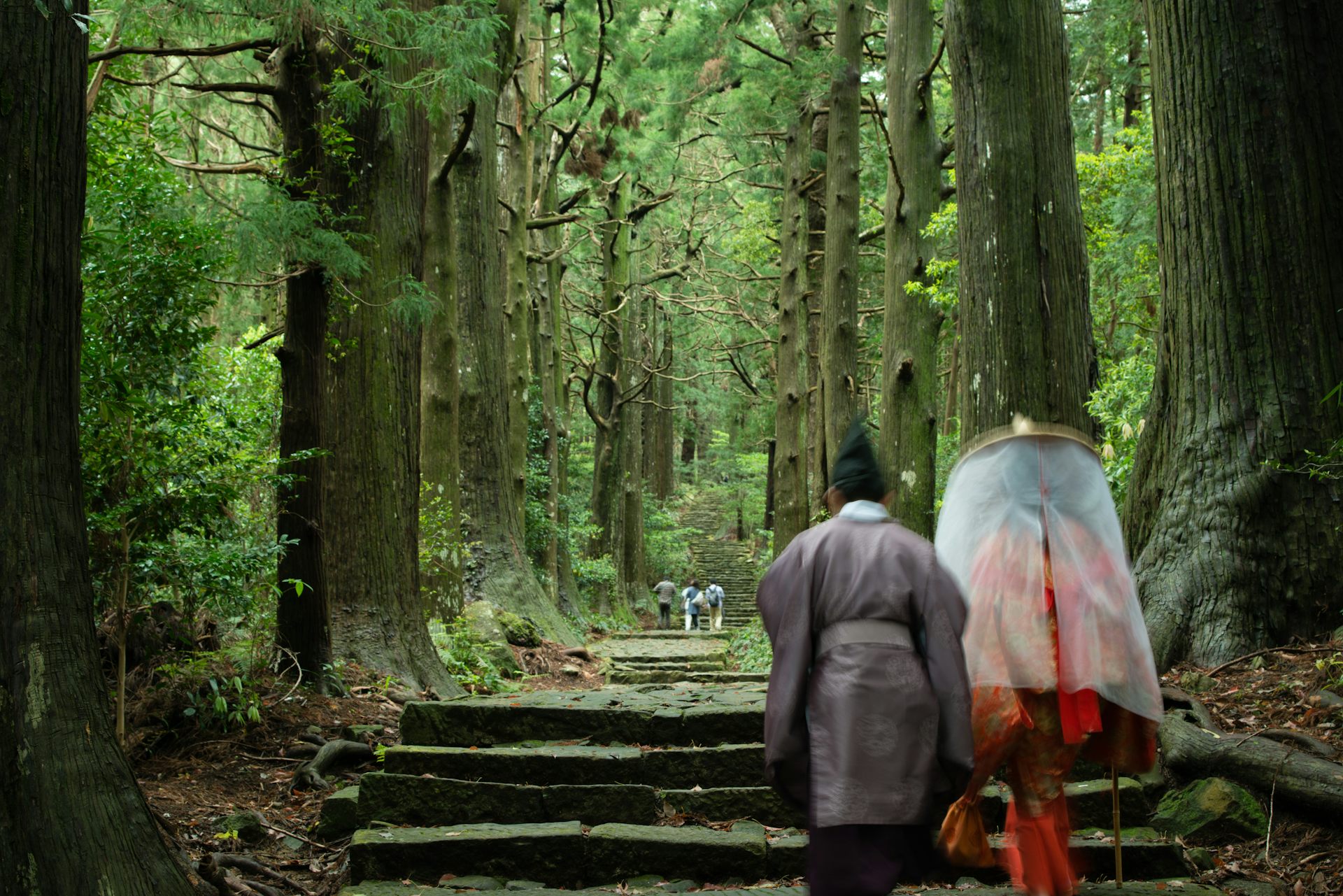 Stone steps wind through a dense forest with tall trees and green foliage, travelers seen ahead.